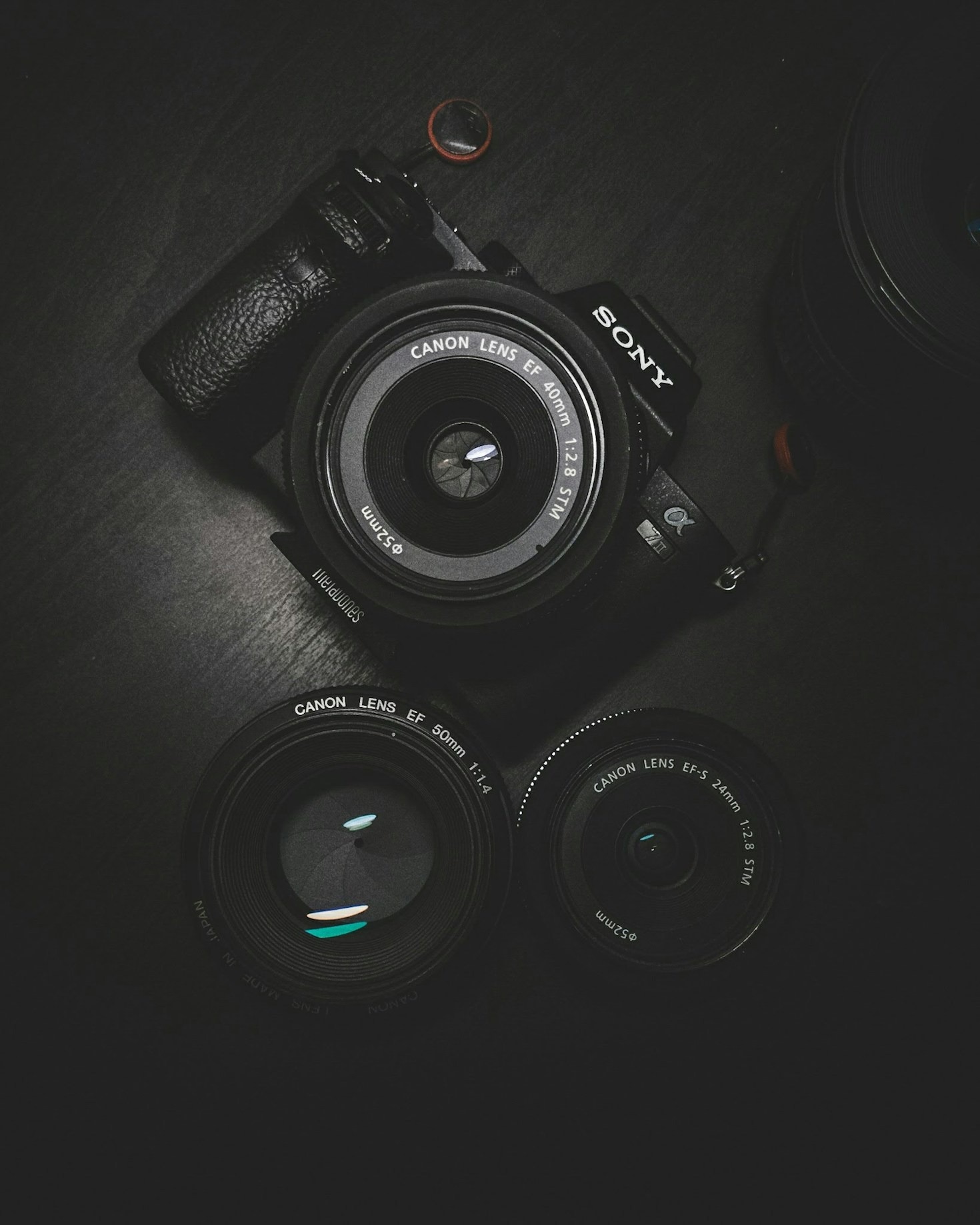 A importância de um portfólio na escolha do fotógrafo